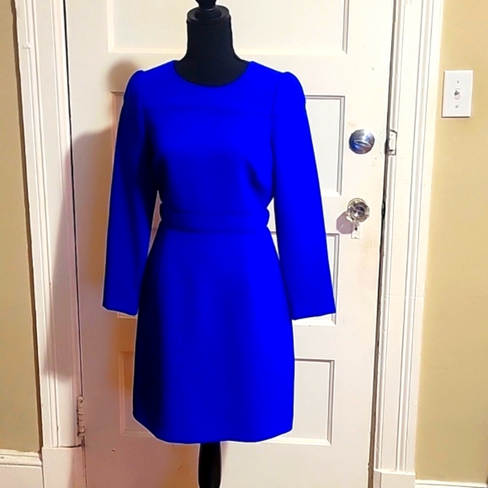 Blue Reiss Dress